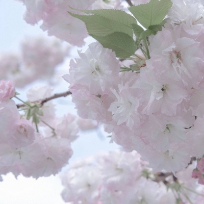 耒阳FurryQQ群介绍